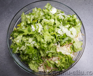 Salata anti-tumorala, Strat IV: salata verde rotunda sau romana